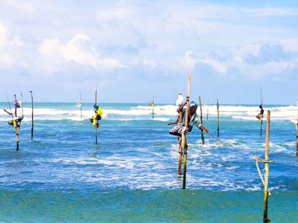 Stilt Fishermen at Weligama