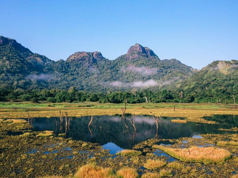 Best Places to Visit in Sri Lanka 24 Gal Oya National Park Safari