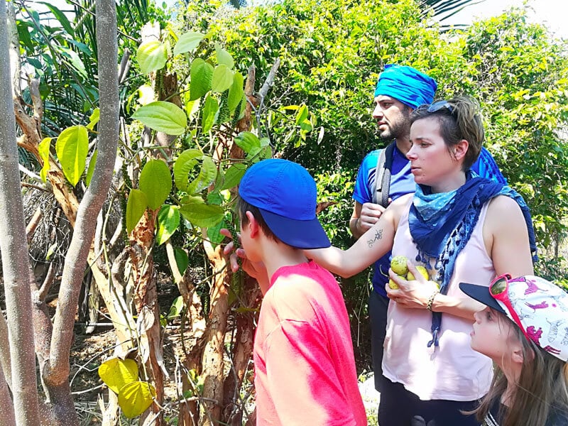 Tourist Sites Entrance Fees 6