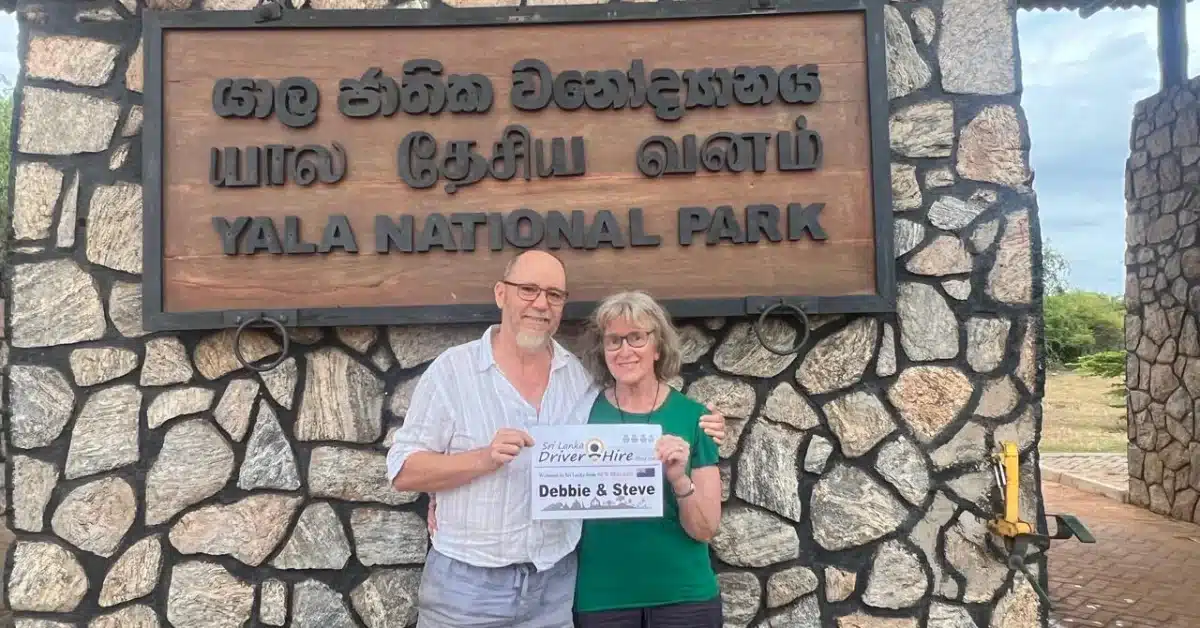 Yala National Park Safari: Everything You Need to Know