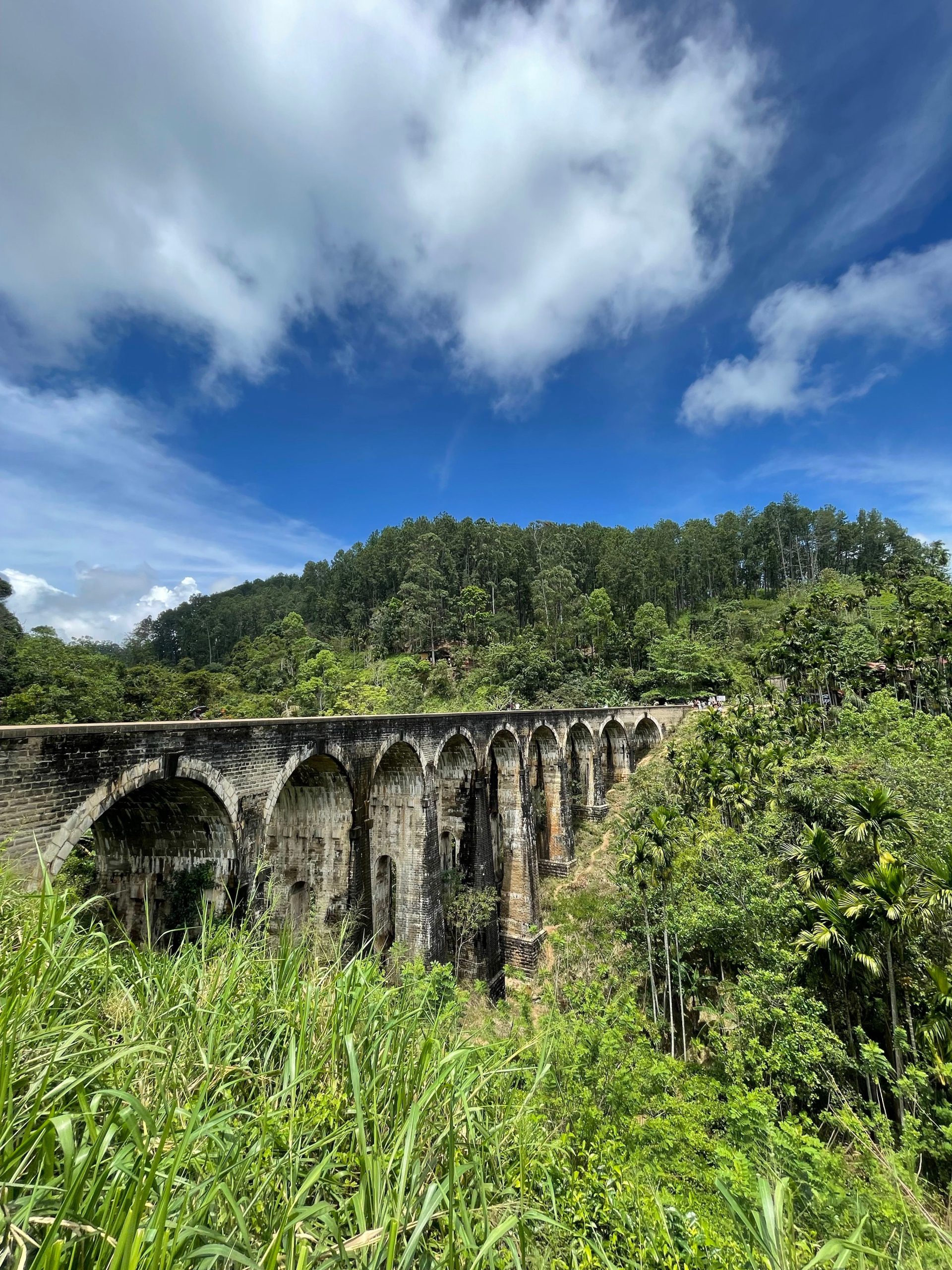 Private Driver Tours in Sri Lanka: Top Routes & Ideas 3 Nine Arch Bridge framed by Sri Lankan rainforest near Ella, a popular stop on private driver tours