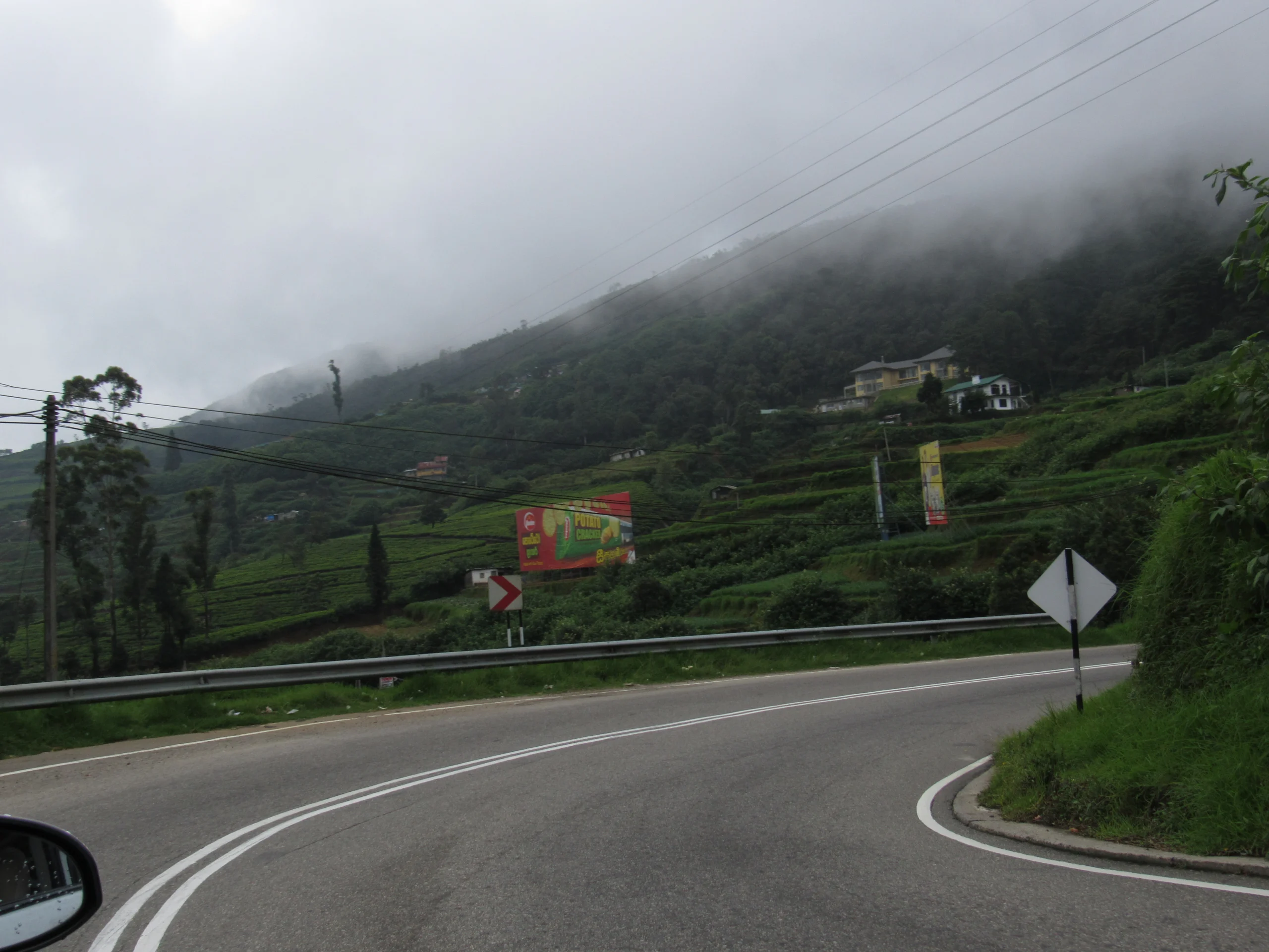 Sri Lanka Car and Driver Hire: The Complete Guide 3 Rolling tea plantations in the Sri Lankan highlands, a classic hill-country touring route